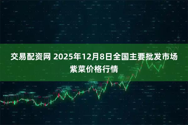 交易配资网 2025年12月8日全国主要批发市场紫菜价格行情