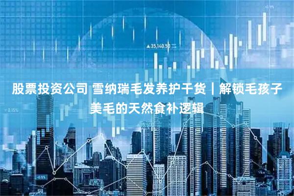 股票投资公司 雪纳瑞毛发养护干货｜解锁毛孩子美毛的天然食补逻辑