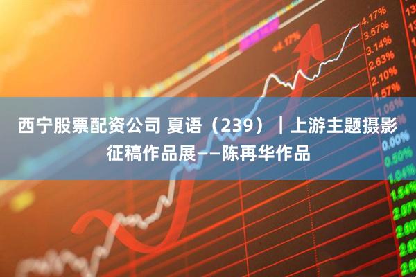 西宁股票配资公司 夏语（239）｜上游主题摄影征稿作品展——陈再华作品