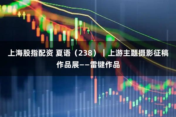 上海股指配资 夏语(238)|上游主题摄影征稿作品展——雷键作品